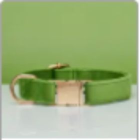 Multiple Colour Velvet Personalise Dog Collar Leash Set With Bow (Option: Green-XS)